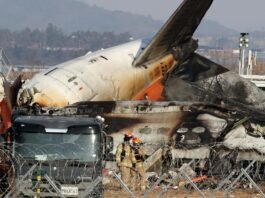 Boeing 737-800 Operated By Jeju Air Crashed