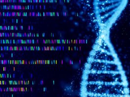 Controversial Genetics Testing Startup Nucleus Genomics Increases Around $14M Series A